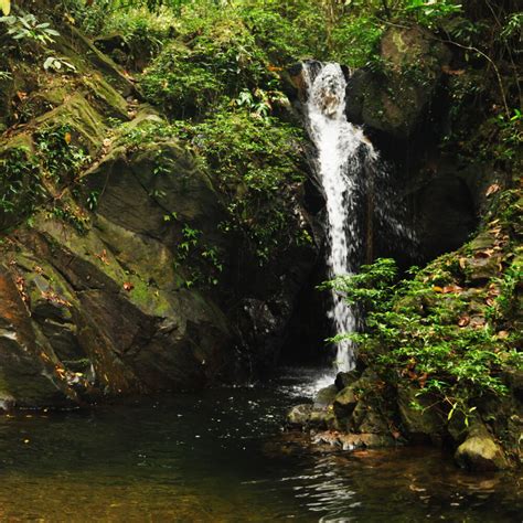 Cockscomb Jaguar Preserve Hike - Get to Know Belize Adventures