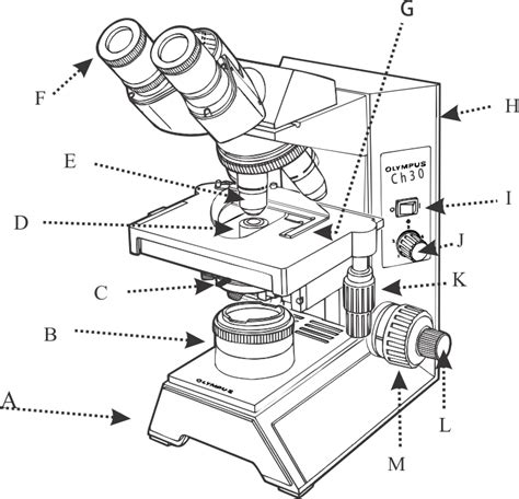 1fully Label The Compound Microscope Below