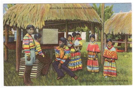 Musa Isle Seminole Native American Indian Village Florida Postcard