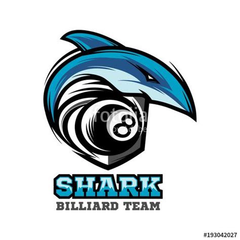 Billaerd Logo