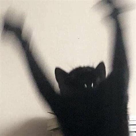 Stream I Don T Give Up Fuck Feat J Dot Prod A No By K G Listen Online For Free On