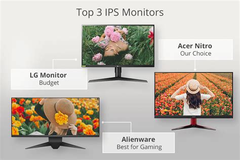 10 Best IPS Monitors in 2025