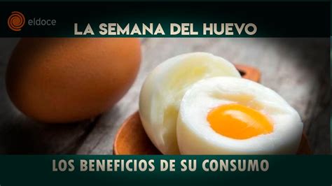 Los Beneficios De Consumir Huevo Youtube