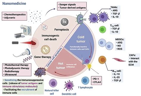 Frontiers Engineered Multifunctional Nanocarriers For Controlled Drug