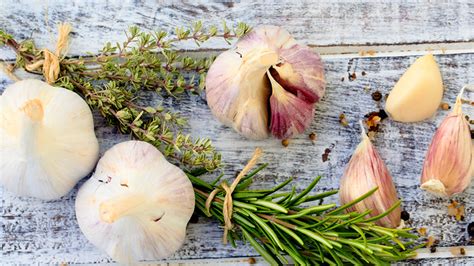 Vermeiden Sie bitte diese 3 Knoblauch-Fehler | freundin.de