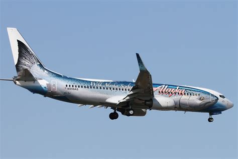 Airline Livery Of The Week Alaska Airlines Salmon Thirty Salmon Ii