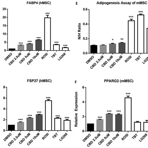 Cbd Enhanced Adipogenesis And Induced Lipogenesis Gene In Human And