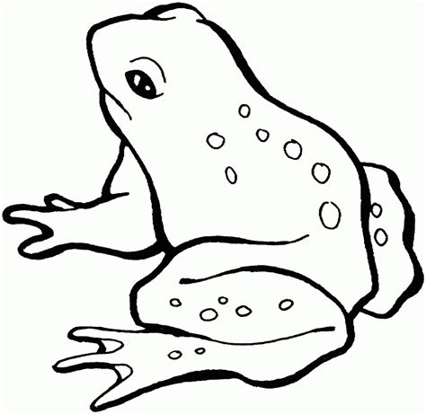 outline image of frog - Clip Art Library