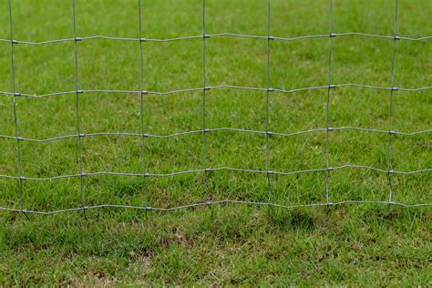 Wire mesh fence installed on the lawn. 7557064 Stock Photo at Vecteezy