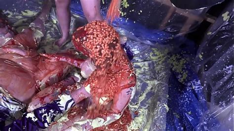 Gunge Videos Xvideos