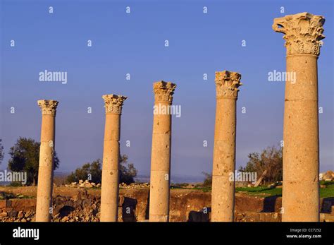 Roman Corinthian columns Stock Photo - Alamy