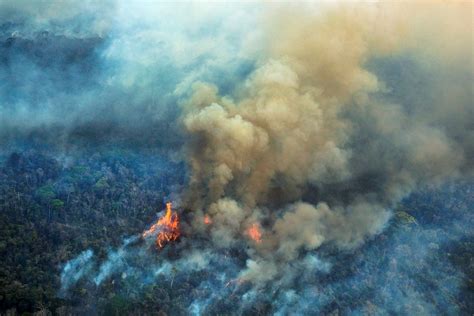 Más de 222 mil incendios forestales se registraron en Brasil en 2020