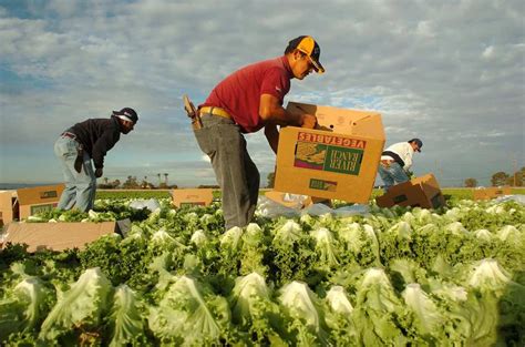 Los obispos de Estados Unidos por el Día del Trabajo Dios desea que