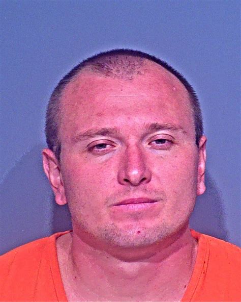 Danshinov Denis Nikolai Baldwin County Mugshots Zone