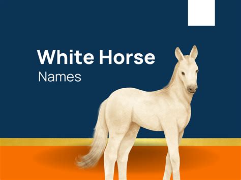 1250+ White Horse Names for Your Equine Companion! (+Generator)