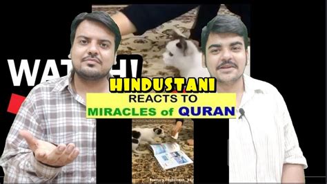 Miracles Of Allah Reaction Cat Will Not Walk On The Quran Miracles