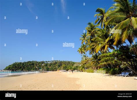 Sri Lanka, Mirissa beach Stock Photo - Alamy