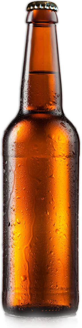 Beer bottle png, Beer bottle png Transparent FREE for download on WebStockReview 2024