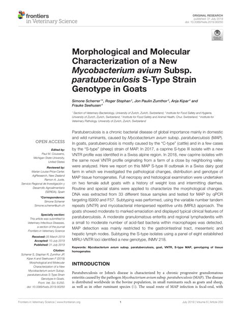 Pdf Morphological And Molecular Characterization Of A New