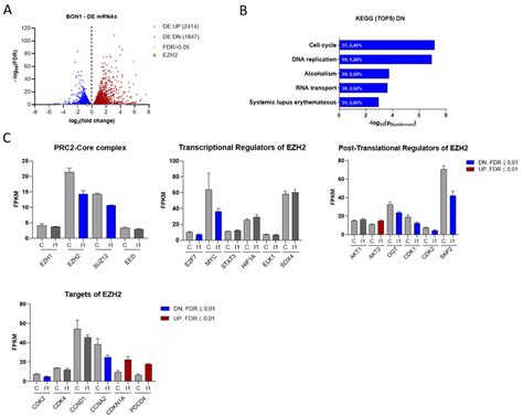 Igf2bp1 Knockdown Affects The Transcriptional Landscape Of Nen Cells