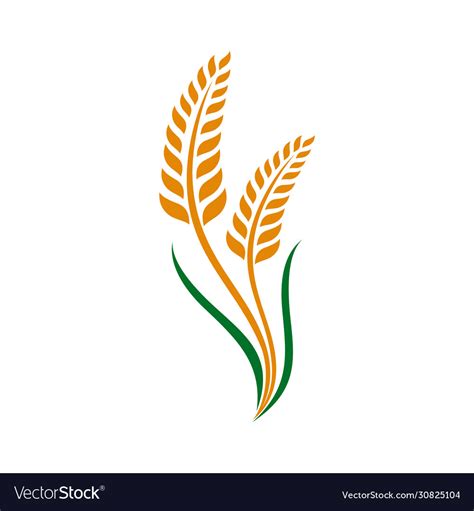 Wheat grain and rice logo inspiration Royalty Free Vector