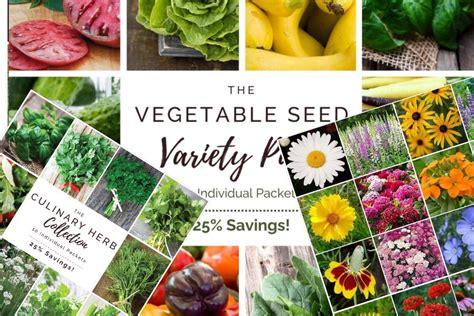 The Best Garden Seed Catalogs & Websites For Ordering Seeds! | Garden ...