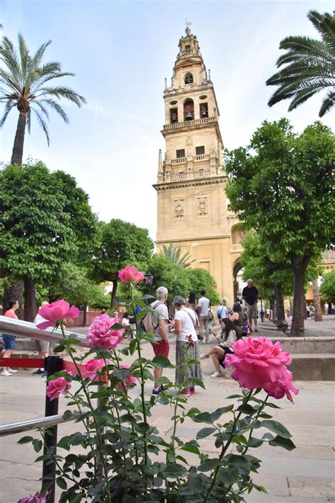 El Patio de los Naranjos tendrá ornamentación floral este mes de mayo