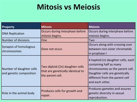 Unit 4a Cell Division Mitosis Ppt Download