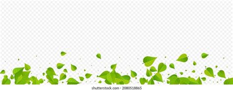 Swamp Leaves Fly Vector Transparent Background Stock Vector Royalty