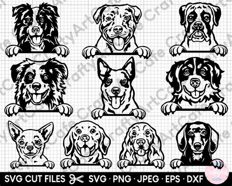 Peeking Dogs Bundle Svg Cut Files Aussie Svg Beagle Svg Etsy Australia