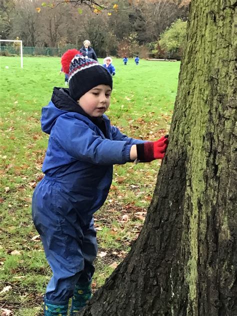 Forest School William Reynolds