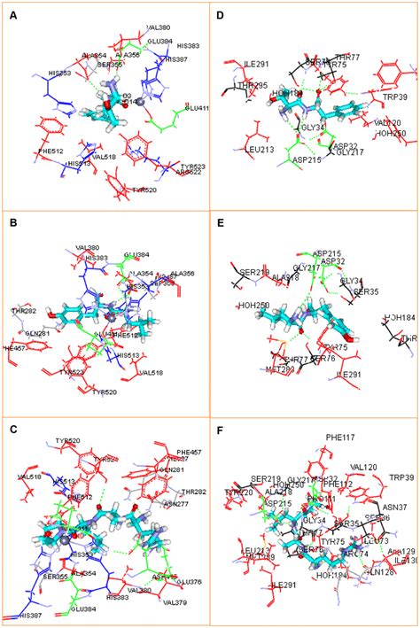 Molecular Docking Of The Peptides At Ace And Renin Active Sites