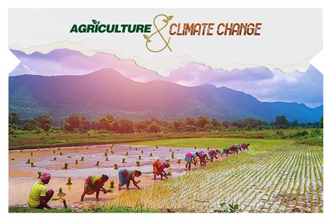 Climate Change and Agriculture: 5 Ways Farmers Can Fight Back