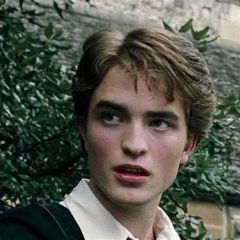 Chat With Cedric Diggory Enjoy Free Ai Character Voice Chat Talkie Ai