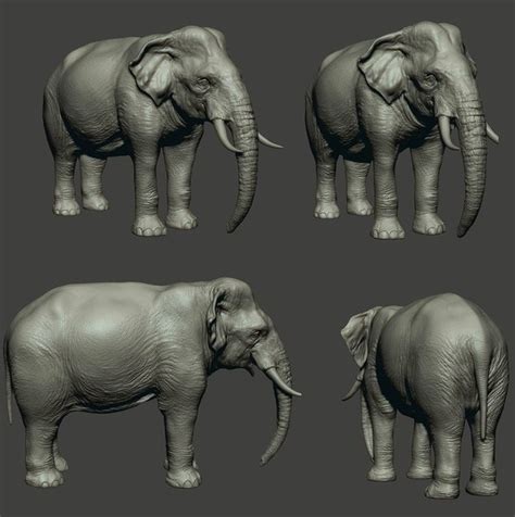 3d Animal Elephant Model Turbosquid 1685586