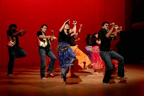 Raunak Showcases Diversity of South Asian Dance | News | The Harvard Crimson