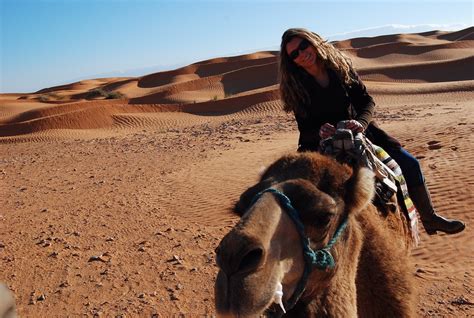 Tunisie L Oasis De Ksar Ghilane Et Les Dunes De Sabria Les Routes