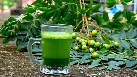 Drink Neem Leaves Juice For These 4 Health Benefits इन 4 फायदों के लिए आप भी पी सकती हैं नीम