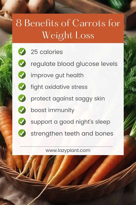 Eat Carrots Every Day For Weight Loss 18 1 MYTHS LazyPlant