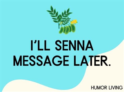 Hilarious Flower Puns To Bloom Laughter Humor Living