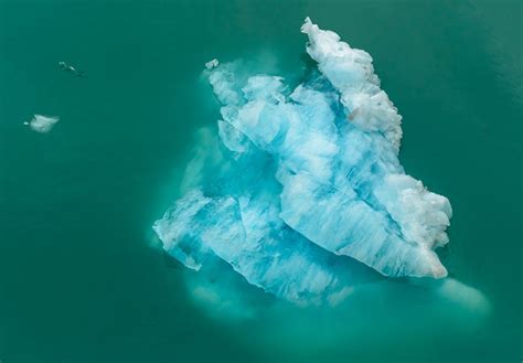 Wie lange ist Eisbergsalat im Kühlschrank haltbar Entdecken Sie es