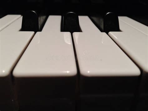 Piano Keyboard stock photo. Image of piano, keys, real - 47361734