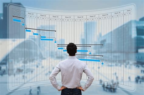 Conceptos Fundamentales En La Administraci N De Proyectos Cetys