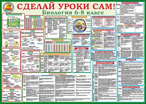 Плакат Биология 6-8 класс