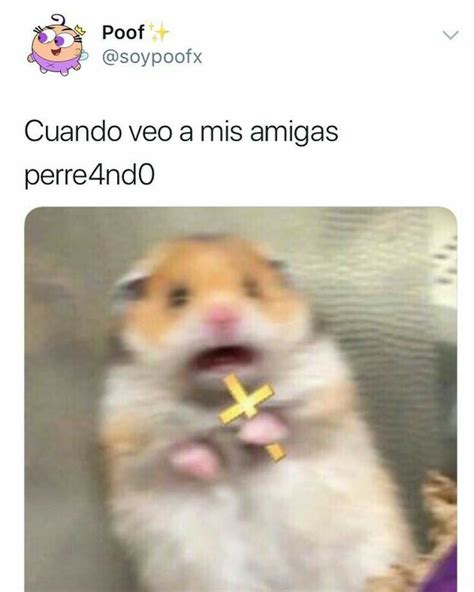 Pin De 𝓜𝓲𝓪 𝓡🍒 En Memeeees En 2020 Memes Divertidos Memes