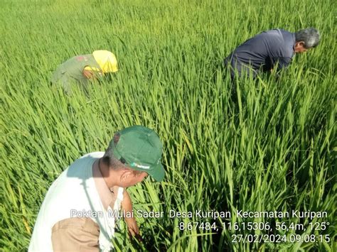 Gerakan Penanganan Dampak Perubahan Iklim Dinas Pertanian Dan