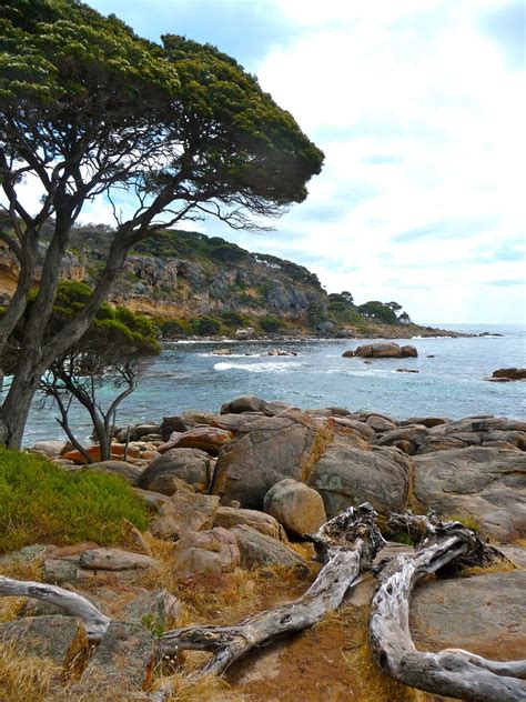 Fotos gratis playa paisaje mar árbol naturaleza rock Oceano