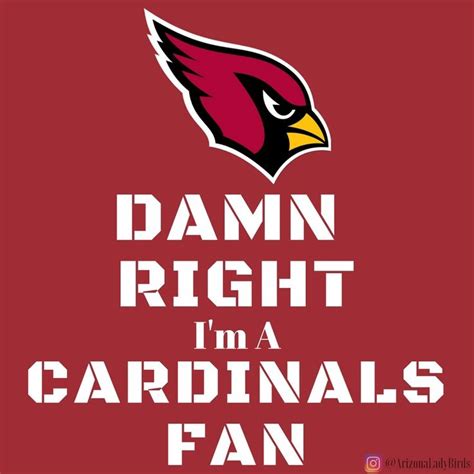 Arizona Cardinals Super Fans 2016 Arizonaladybirds Azladybirds