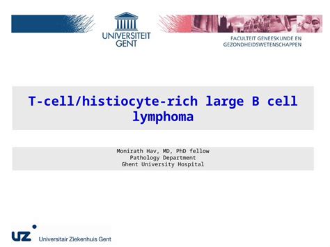 Ppt T Cell Histiocyte Rich Large B Cell Lymphoma Monirath Hav Md Phd Fellow Pathology