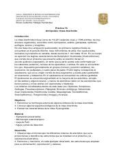 Practica 18 Clase Arachnida Hidalgo Hernández Lab Bio Inv pdf